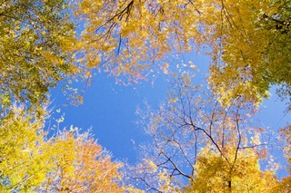 /DSC_0564.jpg