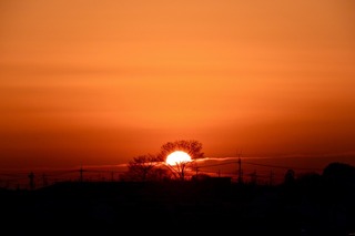 /DSC_0704.jpg