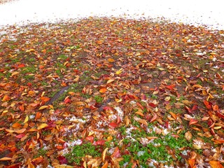 /P1060370.jpg