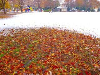 /P1060372.jpg