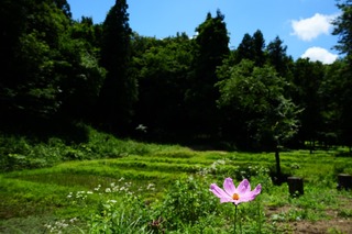 DSC01723.jpeg