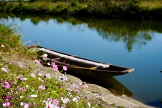 DSC03370.jpeg