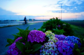 DSC09276.jpeg