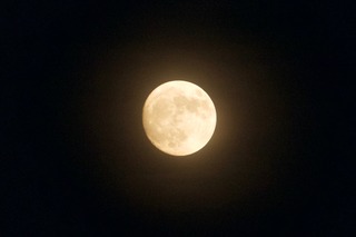 DSC_0379.jpg