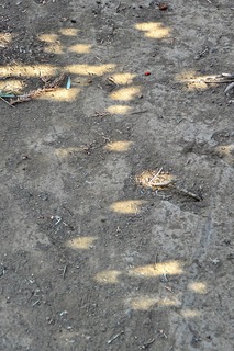 DSC_0671.jpg