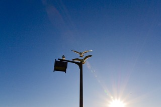DSC_1056.jpg