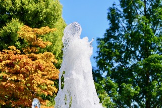DSC_1852.jpg