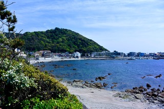 DSC_2036.jpg