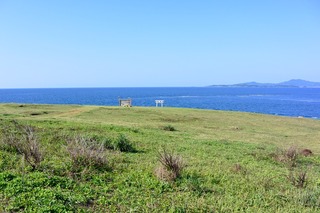 DSC_2408.jpg