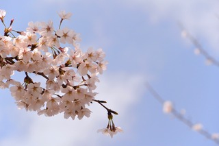 DSC_2508.jpg