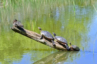 DSC_2864.jpg
