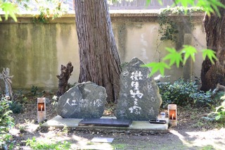DSC_2956.jpg