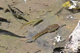DSC_3010.jpg