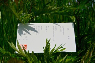 DSC_3062.jpg