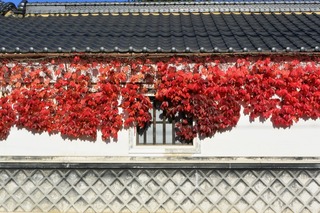DSC_3090.jpg