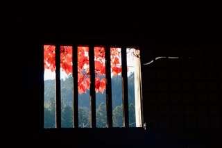 DSC_3119.jpg