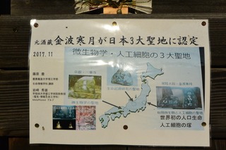 DSC_3141.jpg