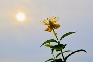 DSC_3866.jpg