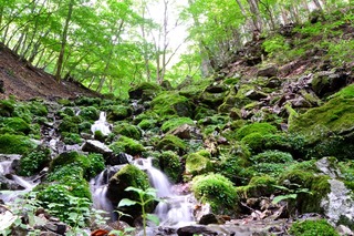 DSC_4643.jpg