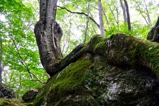 DSC_4672.jpg