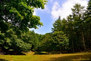 DSC_4686.jpg