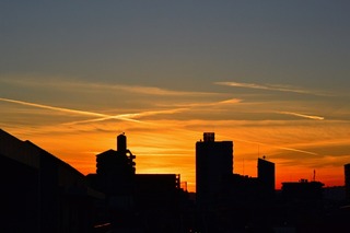 DSC_5981.jpg