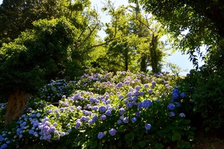 DSC_6300.jpg