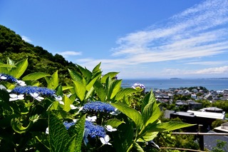 DSC_6308.jpg