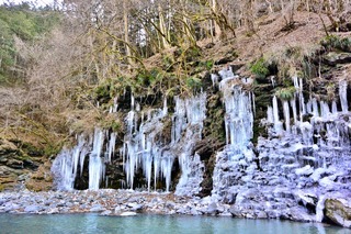 DSC_6591.jpg