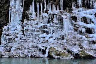 DSC_6625.jpg