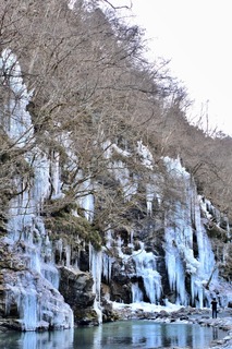 DSC_6627.jpg