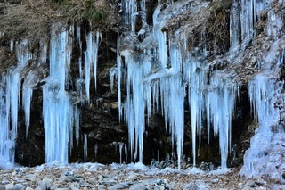 DSC_6643.jpg