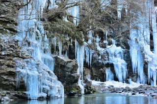 DSC_6648.jpg