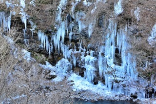 DSC_6682.jpg