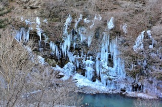DSC_6683.jpg