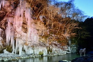 DSC_6720.jpg