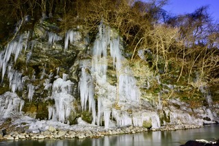 DSC_6730.jpg