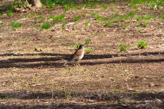 DSC_6884.jpg