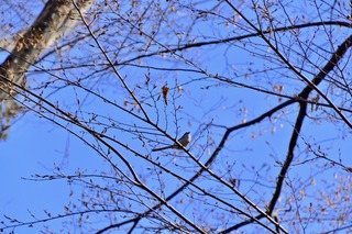 DSC_6919.jpg