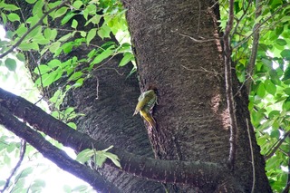 DSC_7688.jpg