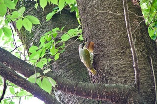 DSC_7810.jpg