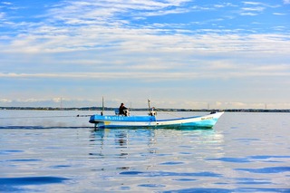 DSC_8878.jpeg