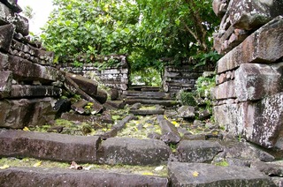 IMGP7668.jpg