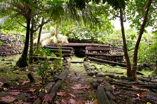 IMGP7674.jpg