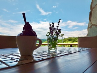 IMG_20220707_112432.jpeg