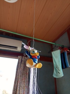 IMG_20230411_065934_462.jpeg