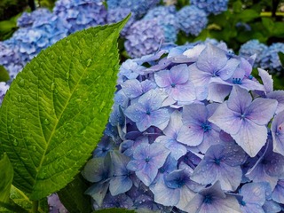 IMG_20230609_125037.jpeg