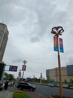 IMG_20231018_135303_705.jpeg