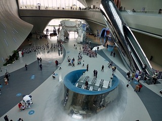 IMG_20231019_152324_236.jpeg