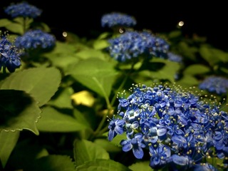 IMG_20240612_195749_402.jpeg